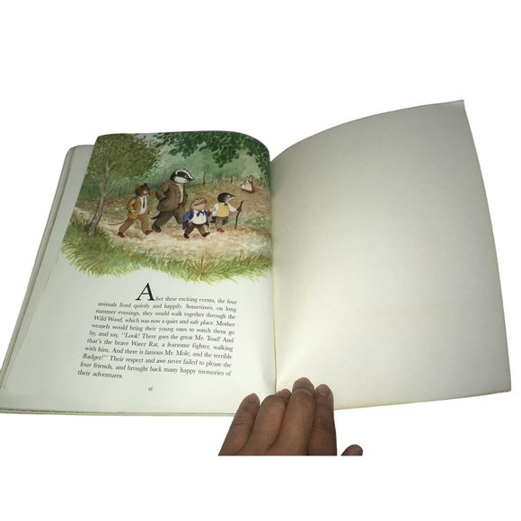 The Wind in the Willows by Kenneth Grahame Vintage Childrens Book - Picture 11 of 12